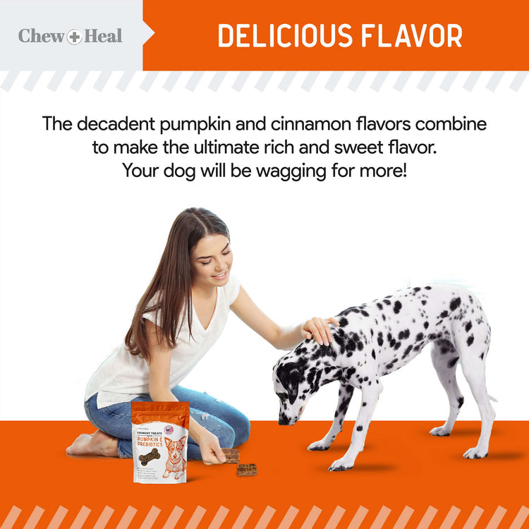 Pumpkin & Prebiotic Fiber Crunchy Biscuit Dog Treats