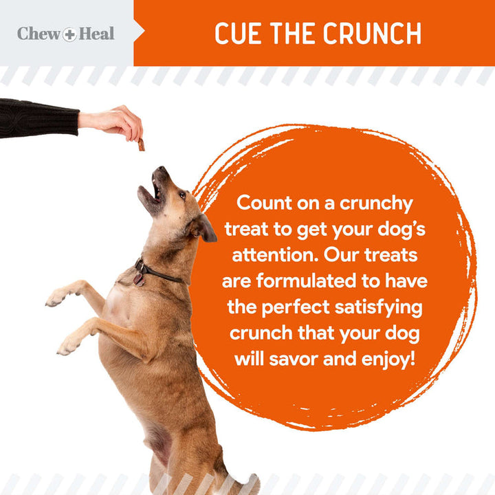 Pumpkin & Prebiotic Fiber Crunchy Biscuit Dog Treats