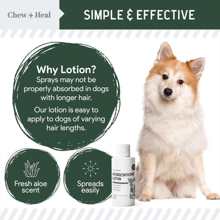 Hydrocortisone Lotion for Dogs 8oz
