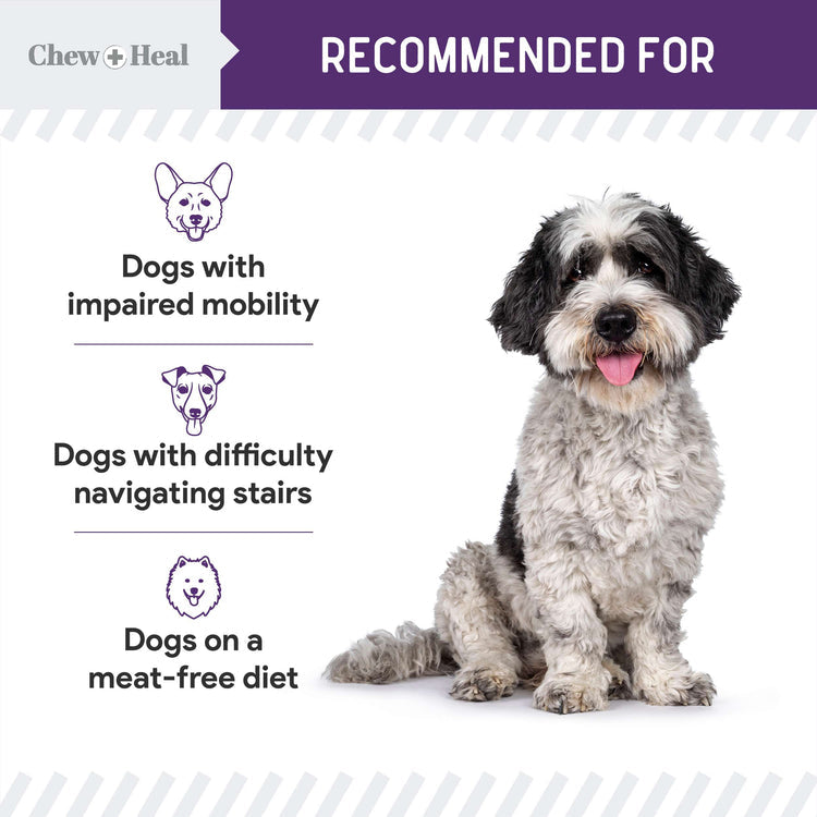 Mobility Wild Alaskan Salmon Limited Ingredient Soft Jerky Dog Treats