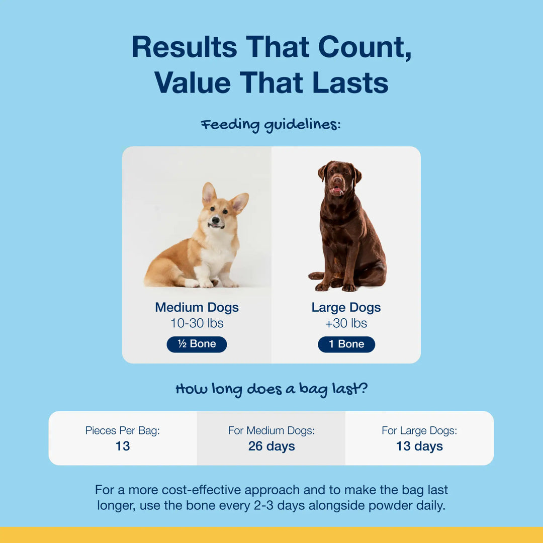 Dental Care Bones - Bacon Flavor