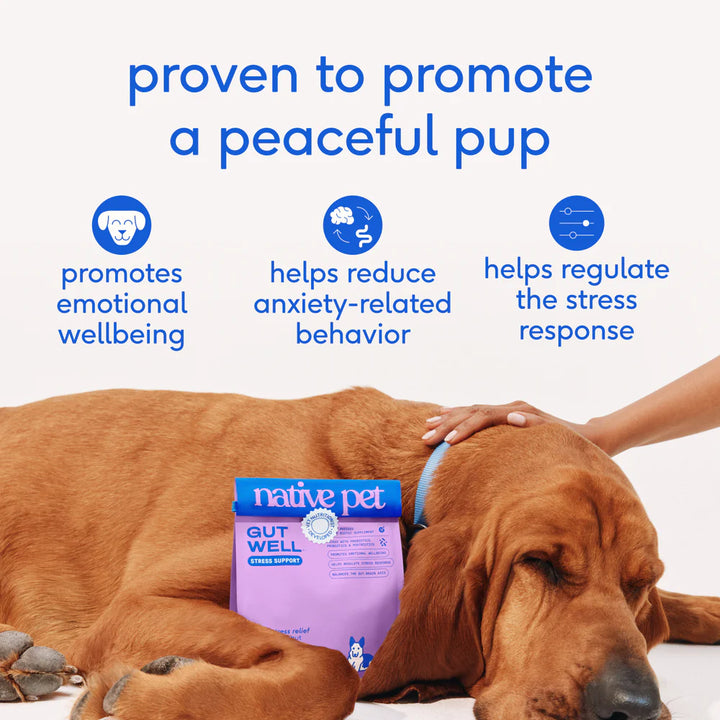 GutWell Stress Support