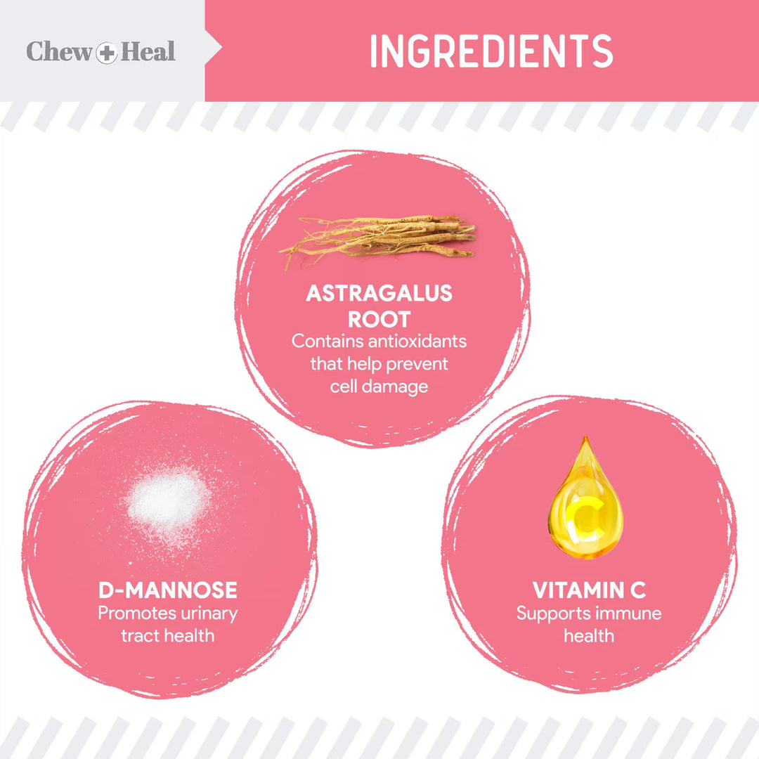 Chew + Heal Urinary + Kidney Tincture Supplement for Dogs, 2-fl oz bottle