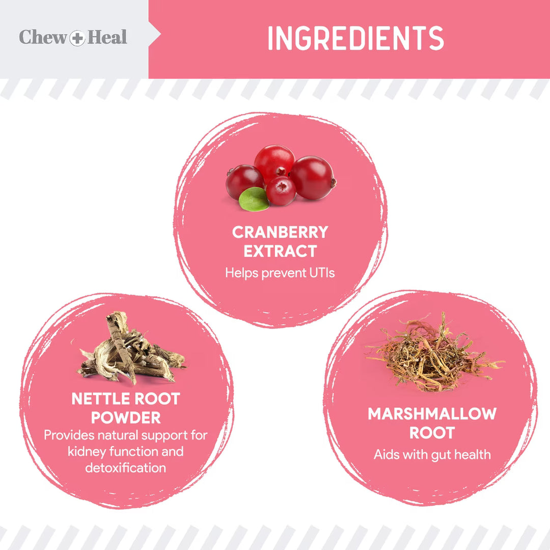 Chew + Heal Urinary + Kidney Tincture Supplement for Dogs, 2-fl oz bottle