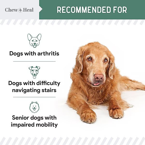 Chew + Heal Senior Hip & Joint Dog Supplement, 60 count