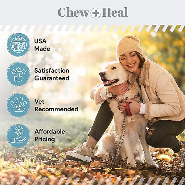 Chew + Heal Daily 12-in-1 Multivitamin, Multifunctional Wellness Powder Supplement for Dogs