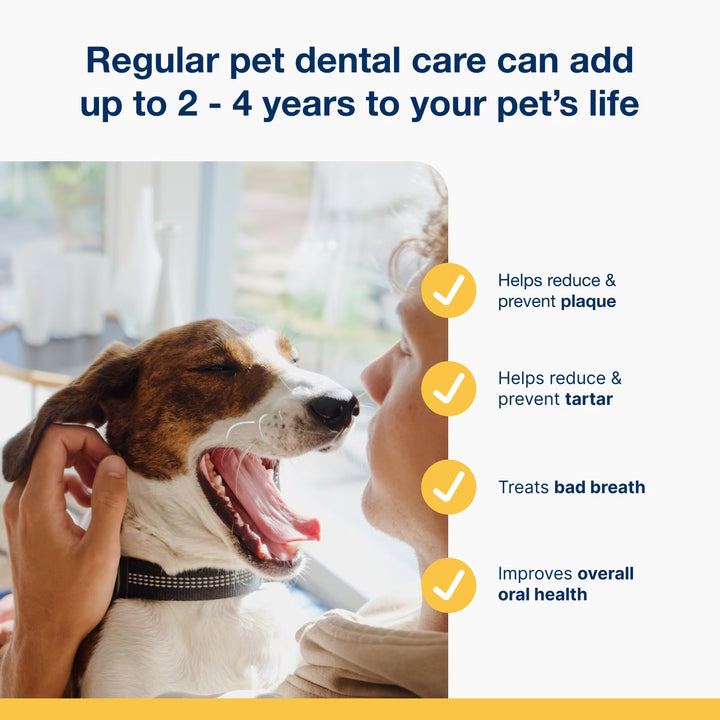 ProDen, PlaqueOff Powder, 6.4 oz (180 g)