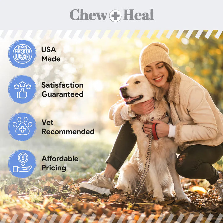 Advanced Chlorhexidine Medicated Wound Care Spray for Dogs