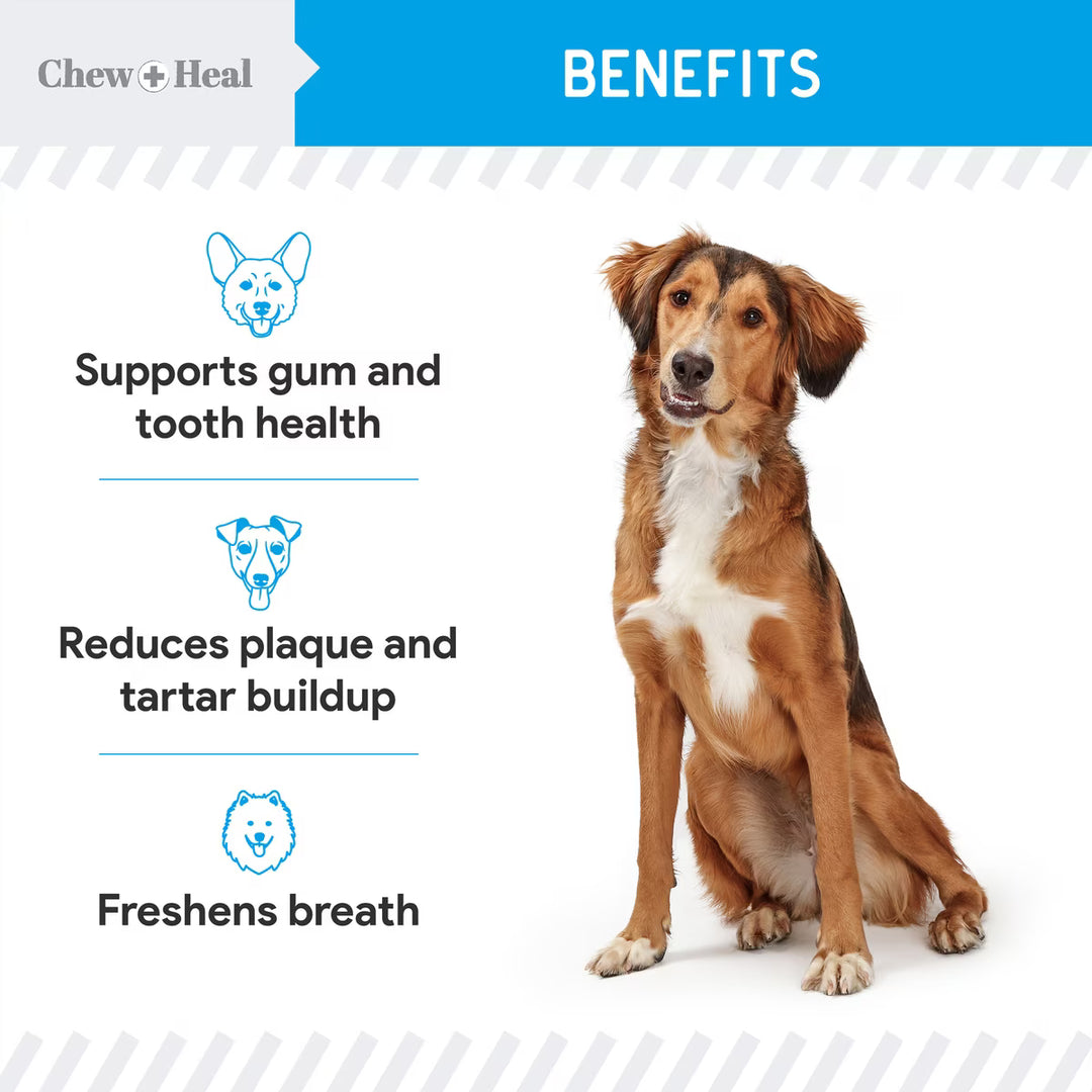 Chew + Heal Advanced Dental Support Powder with 6 Active Ingredients Dental Supplement for Dogs