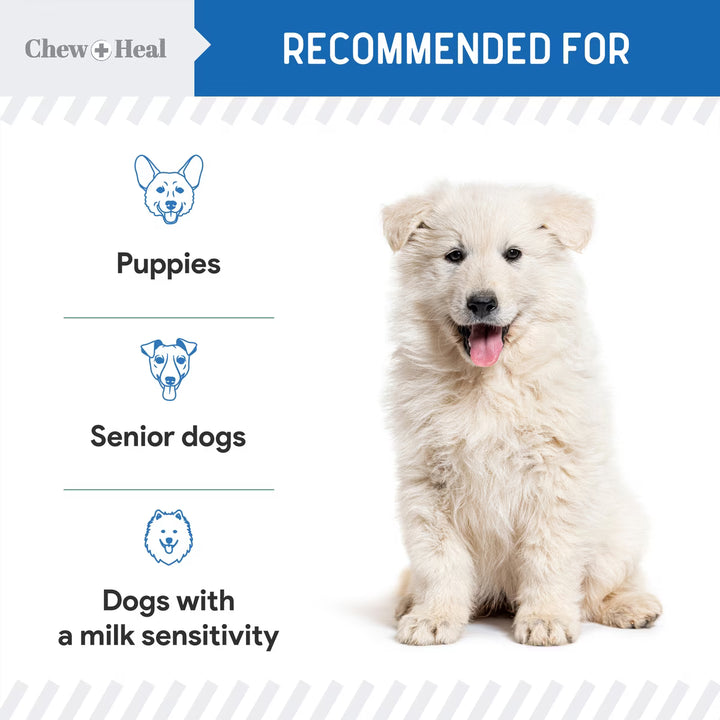 Chew + Heal High Protein Goat Milk Powder Digestive Aid Supplement for Dogs, 6-oz jar