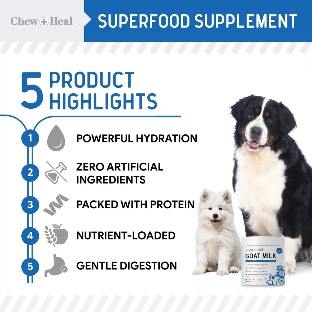 Chew + Heal High Protein Goat Milk Powder Digestive Aid Supplement for Dogs, 6-oz jar