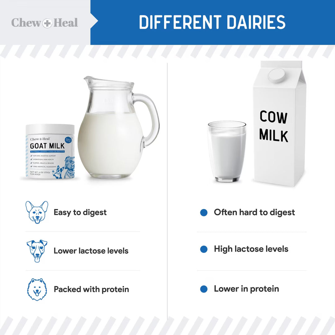 Chew + Heal High Protein Goat Milk Powder Digestive Aid Supplement for Dogs, 6-oz jar