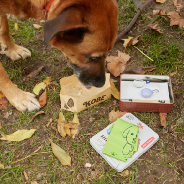 Dog Hiking Kit