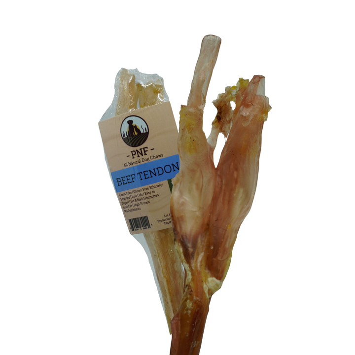 Beef Tendon
