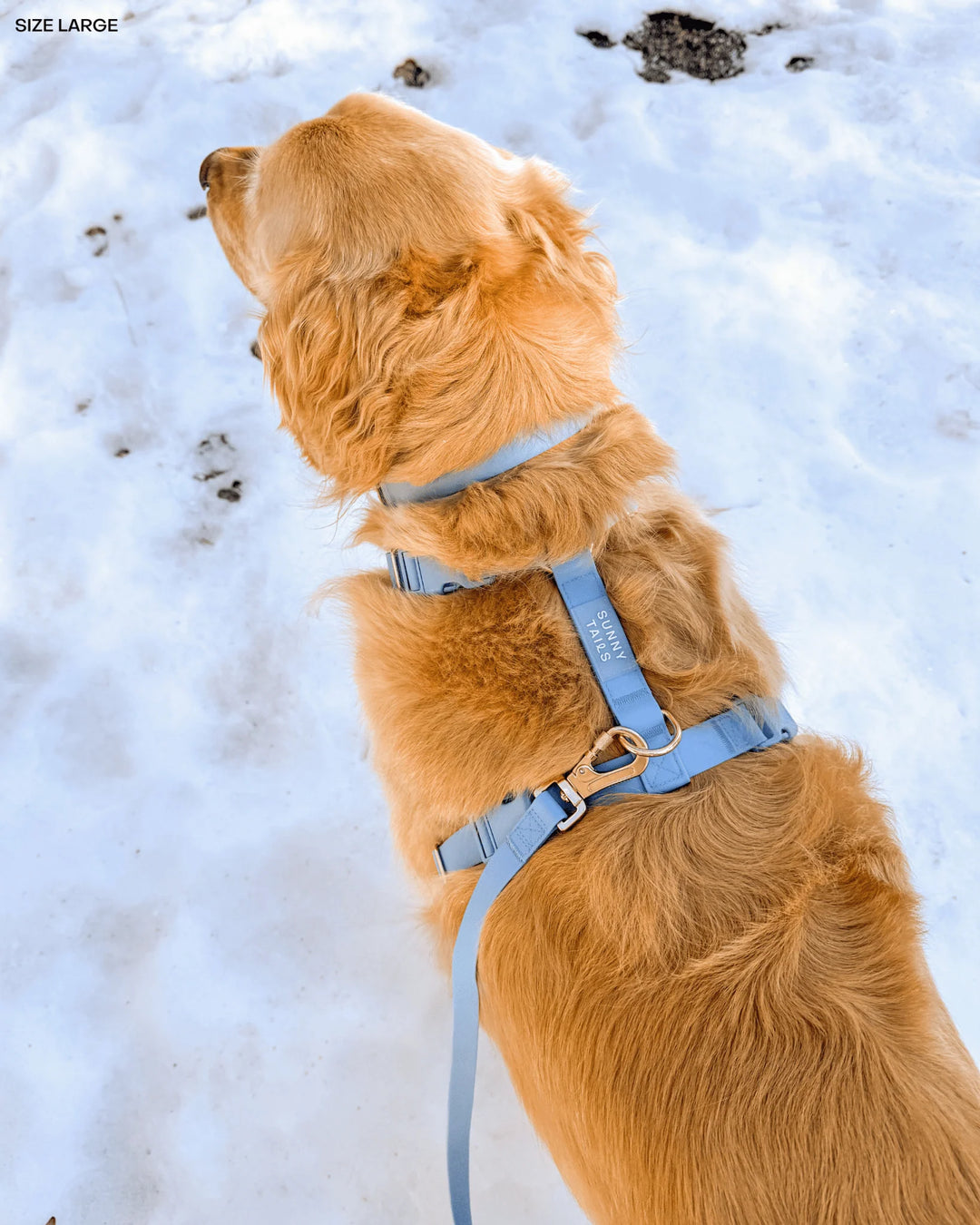Malibu Blue Cloud Lite Dog Harness
