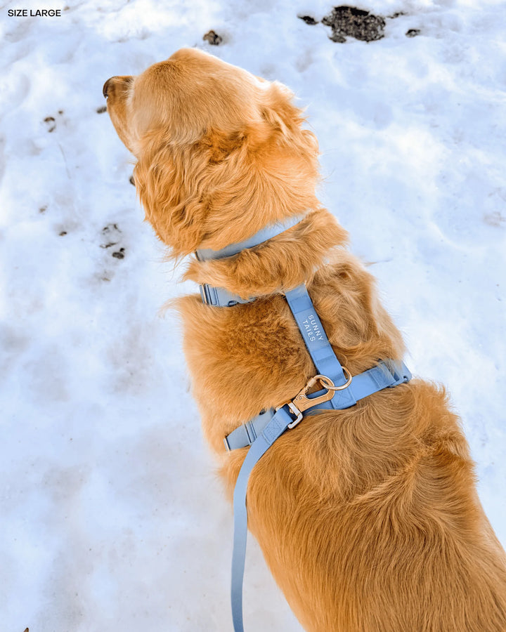 Malibu Blue Cloud Lite Dog Harness