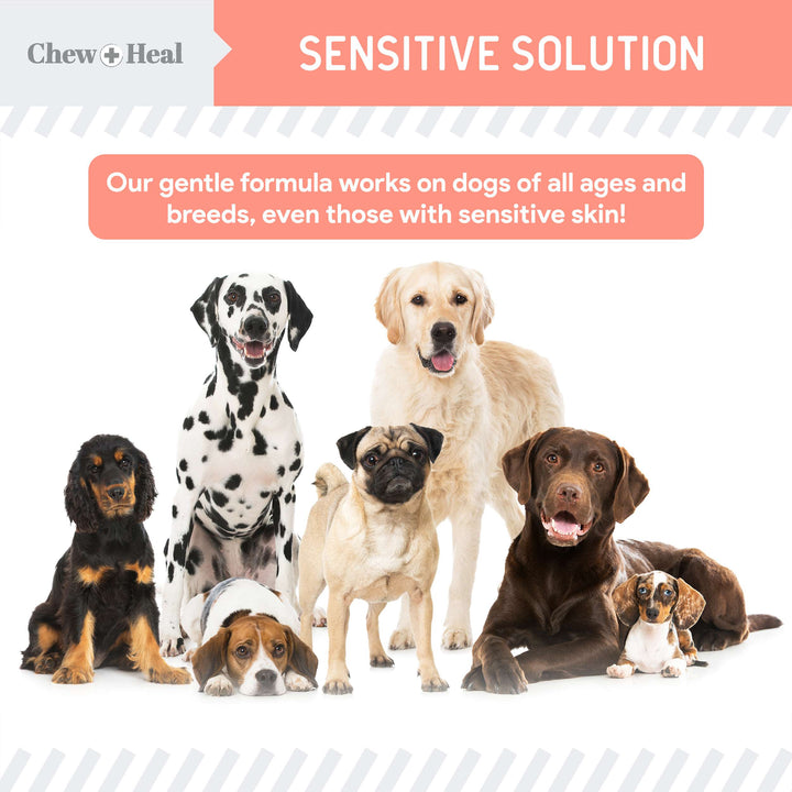 Chew + Heal Natural Hot Spot Relief Topical Liquid for Dogs, 2-fl oz bottle