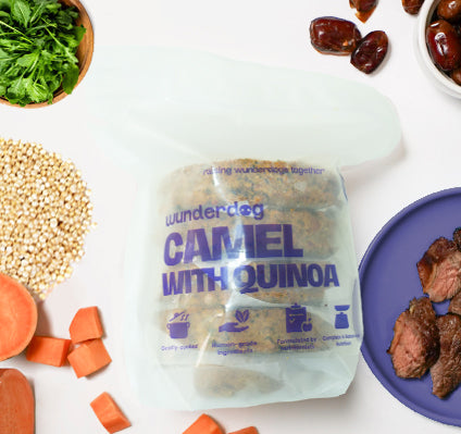 Camel with Quinoa
