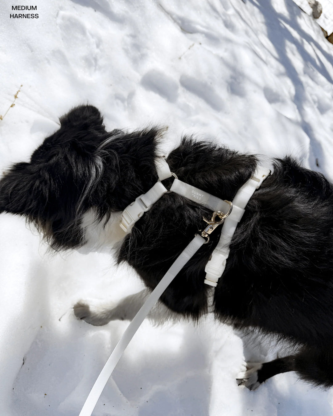 Lunar Glow Cloud Lite Dog Harness