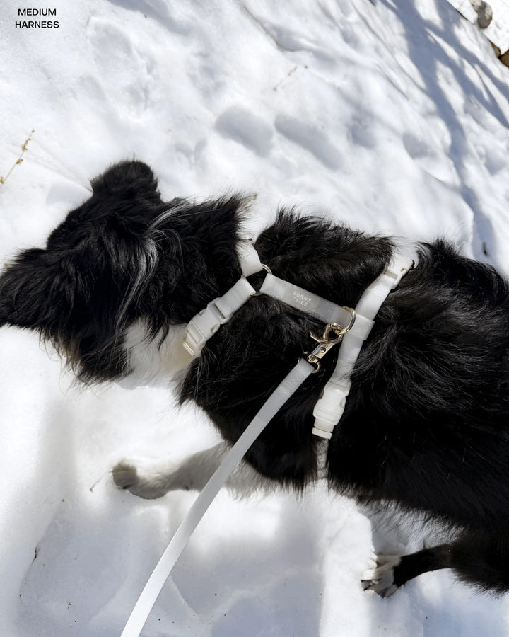 Lunar Glow Cloud Lite Dog Harness