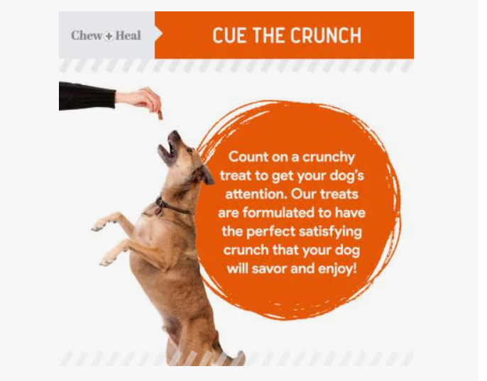 Chew + Heal Pumpkin & Prebiotic Fiber Crunchy Biscuit Dog Treats, 24-oz bag