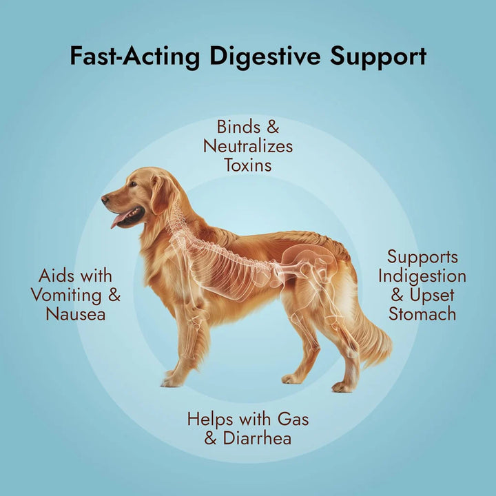 Pet Vet Activated Charcoal Gel for Dogs & Cats (60 mL)