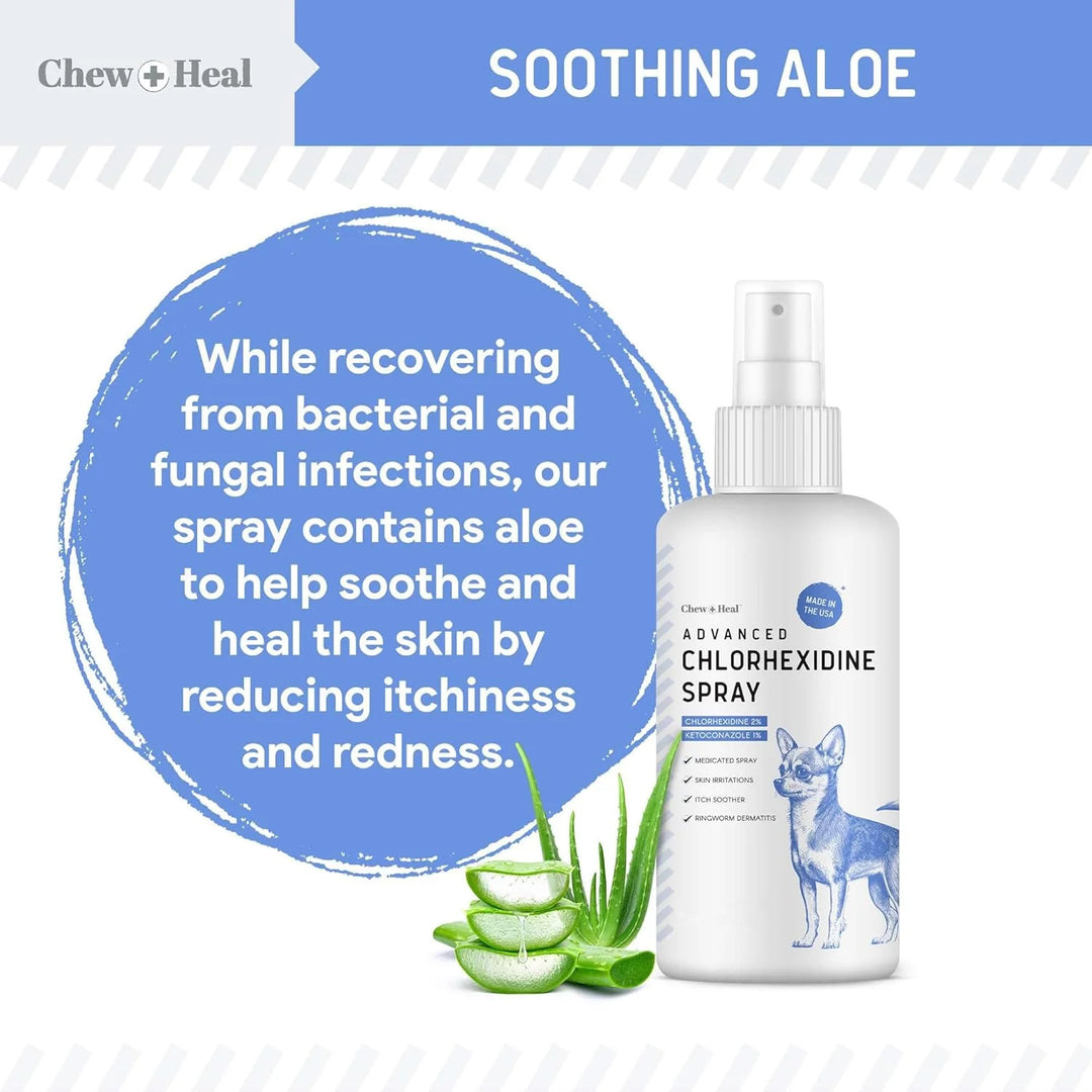 Advanced Chlorhexidine Medicated Wound Care Spray for Dogs