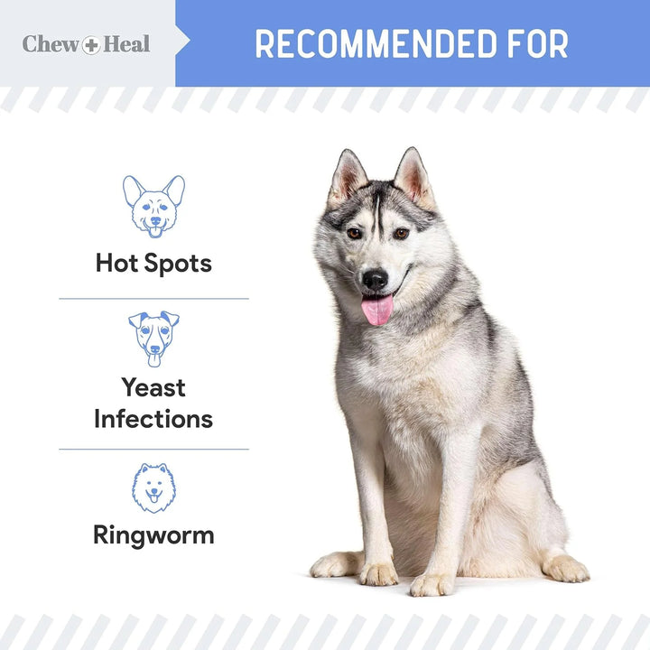 Advanced Chlorhexidine Medicated Wound Care Spray for Dogs