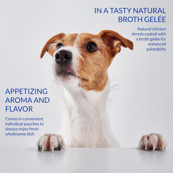 Inaba Twin Packs Chicken With Vegetables & Chesse Recipe In Chicken Broth (For Dogs)