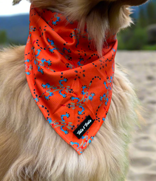 Cooling Dog Bandana