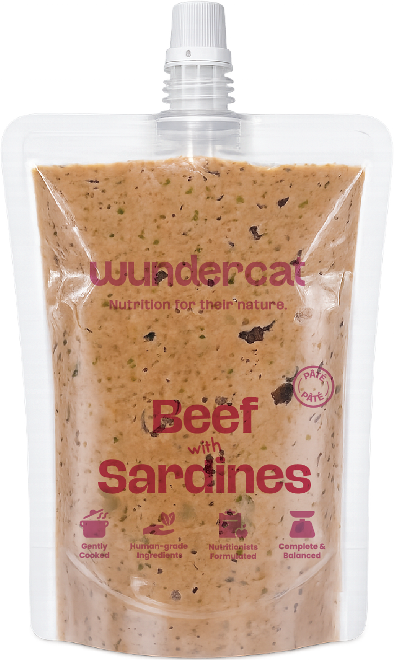 Beef with Sardines Pâté 80gm