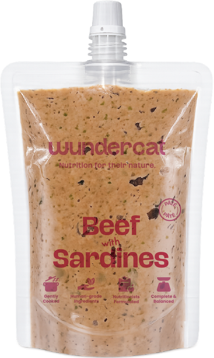 Beef with Sardines Pâté 80gm