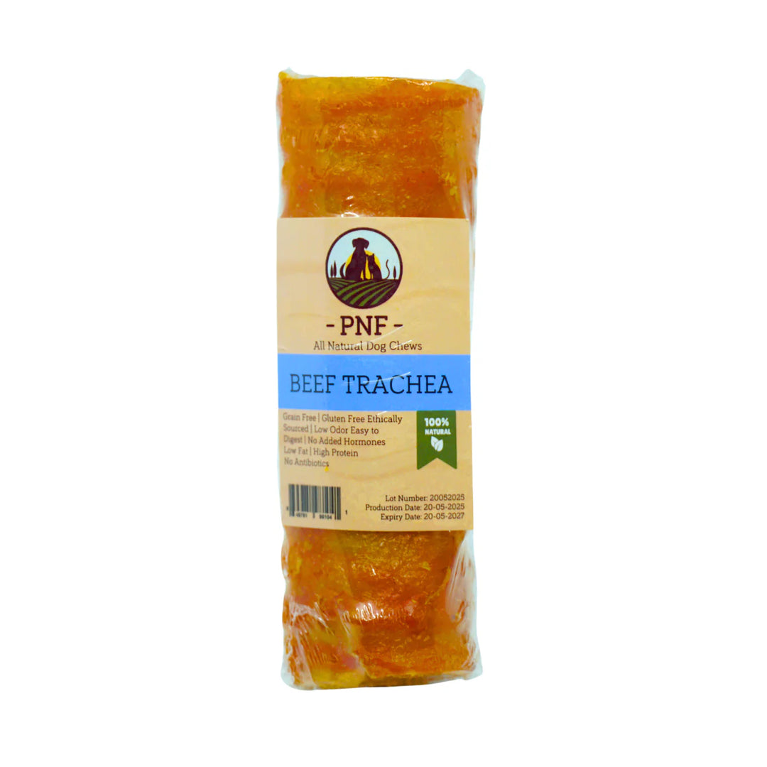 Beef Trachea