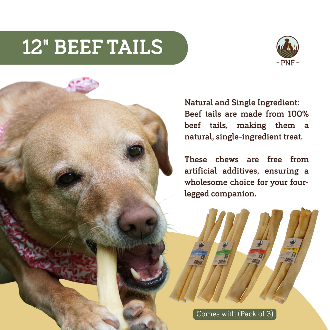 12" Beef Tails Jumbo