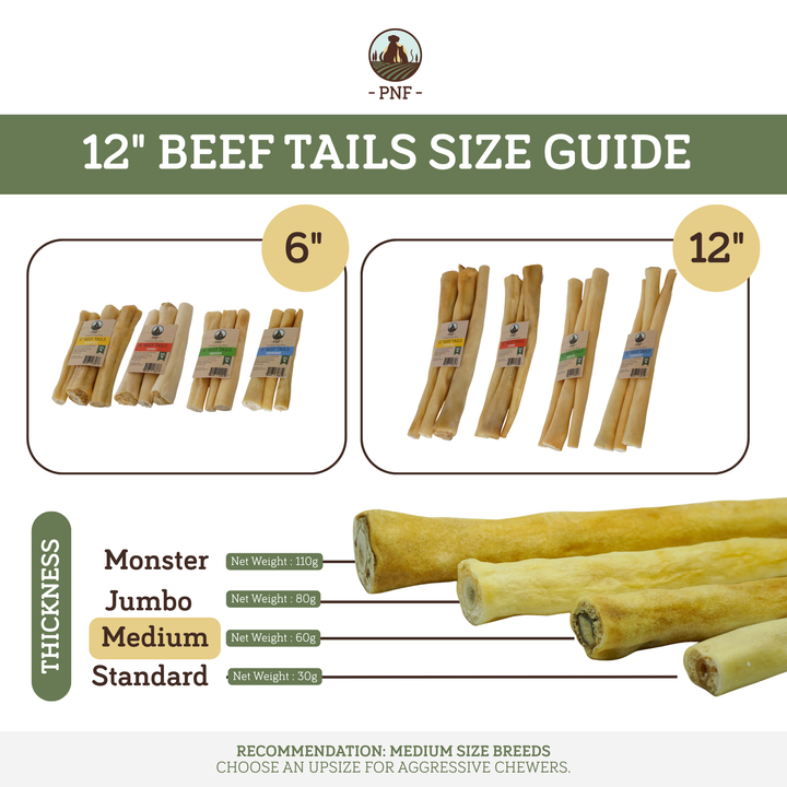 12" Beef Tails Medium
