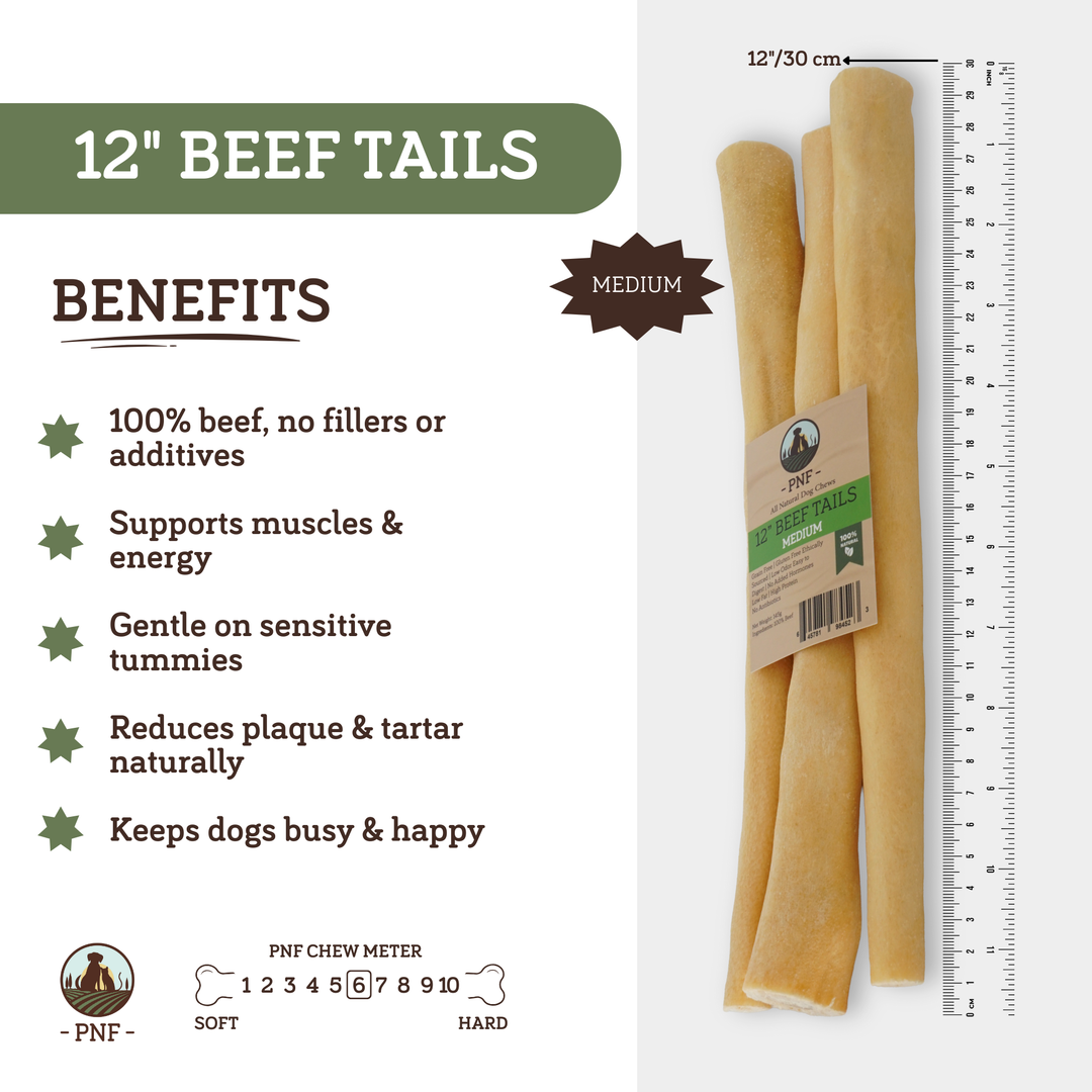12" Beef Tails Medium
