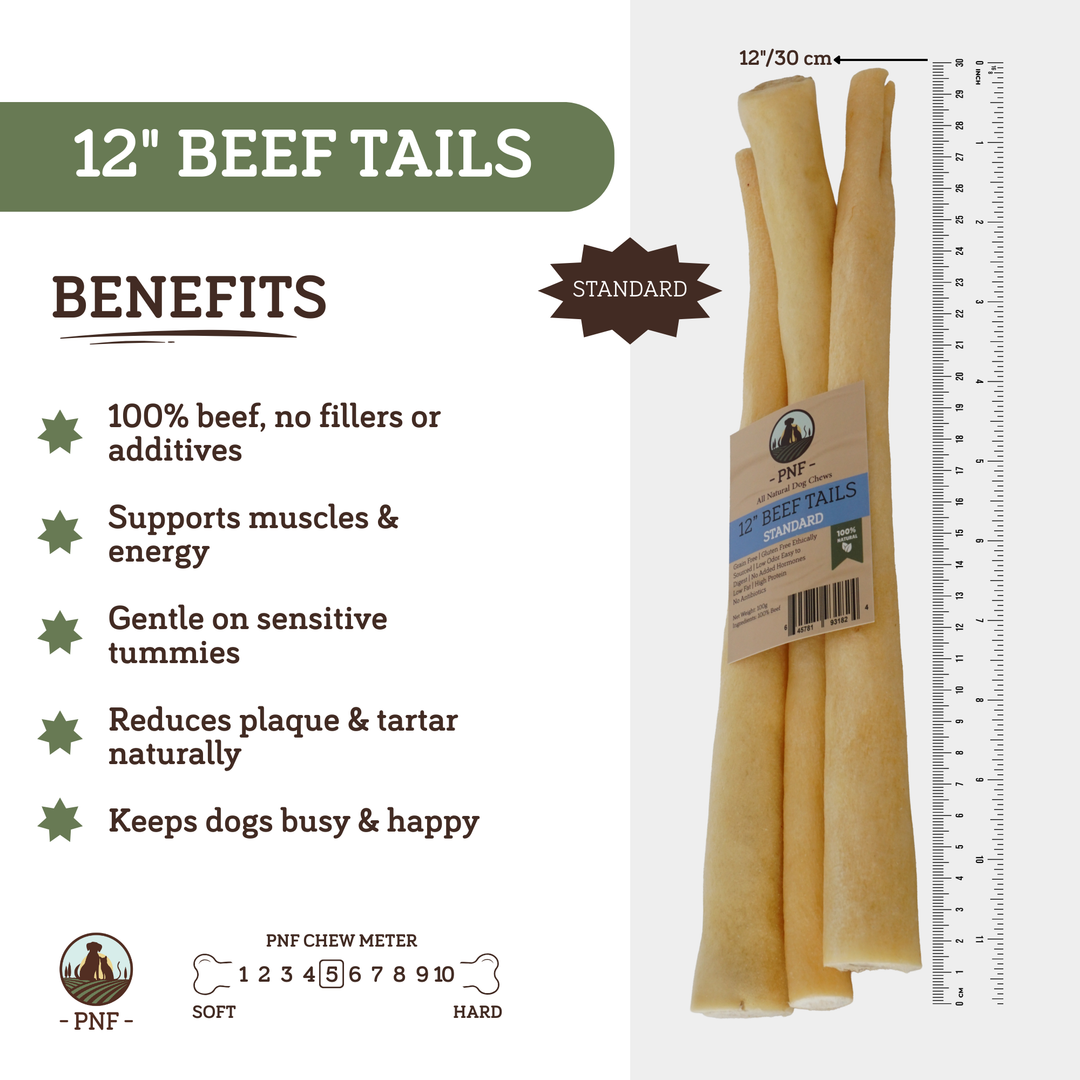 12" Beef Tails Standard