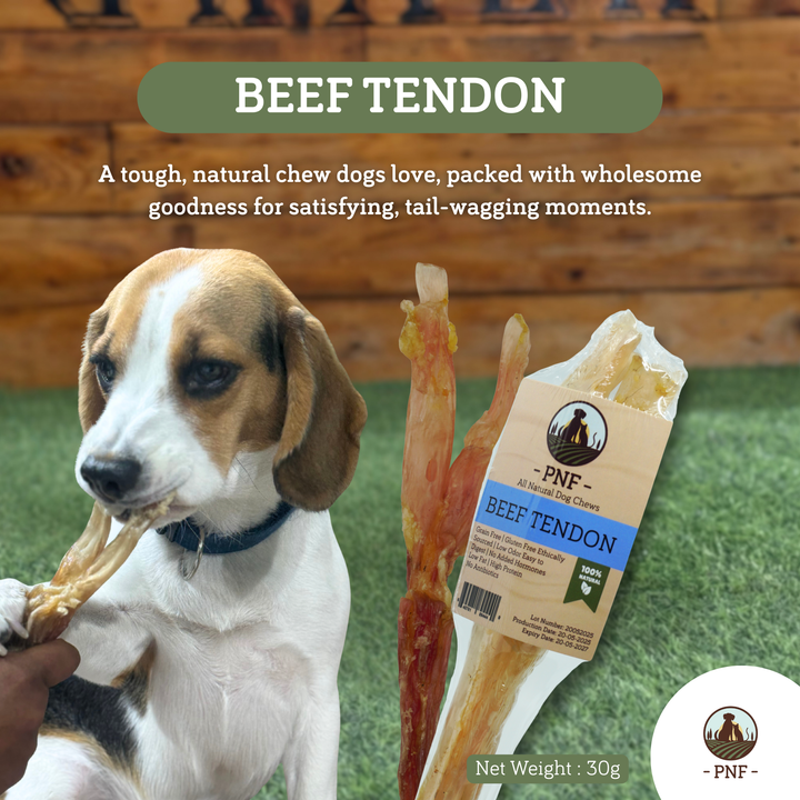 Beef Tendon