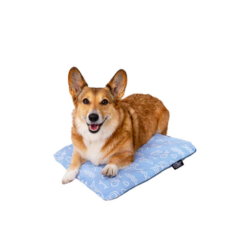 Sleeper - Inflatable Dog Bed with Washable Cover- Blue