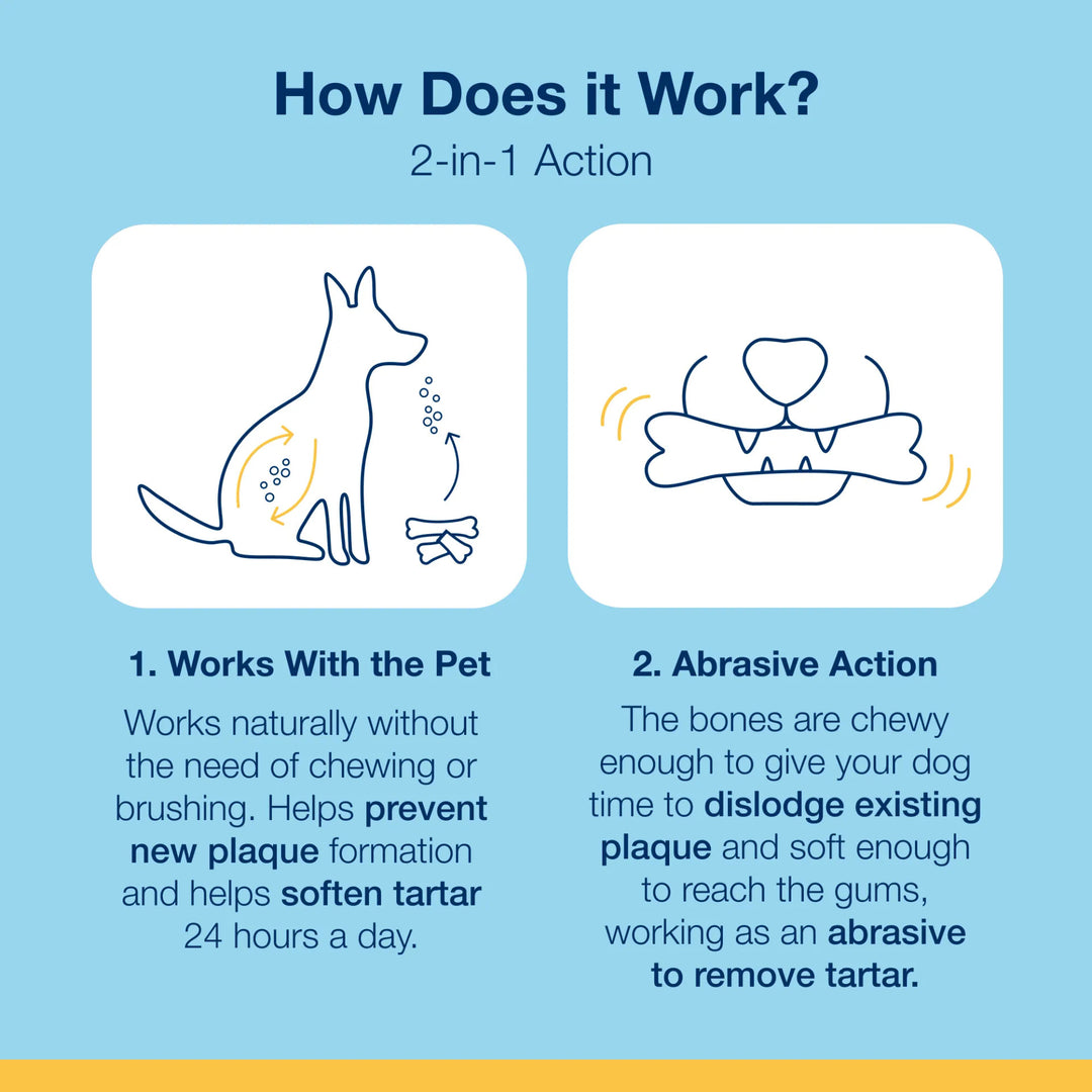 Dental Care Bones - Turkey and Cranberry Flavor