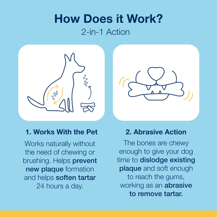 Dental Care Bones - Chicken and Pumpkin Flavor