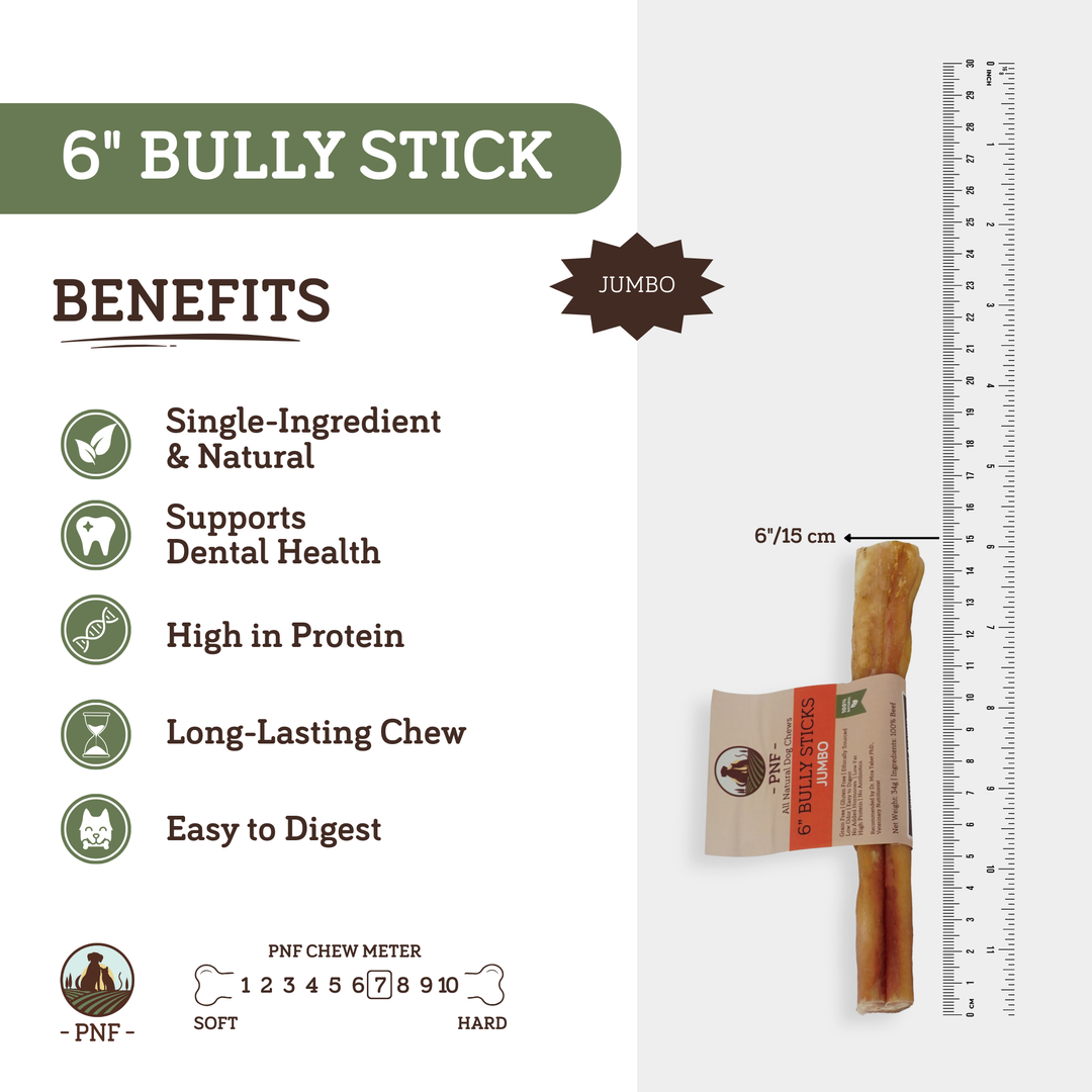 6" Bully Stick Jumbo