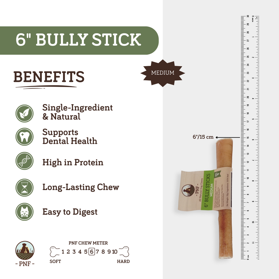 6" Bully Stick Medium