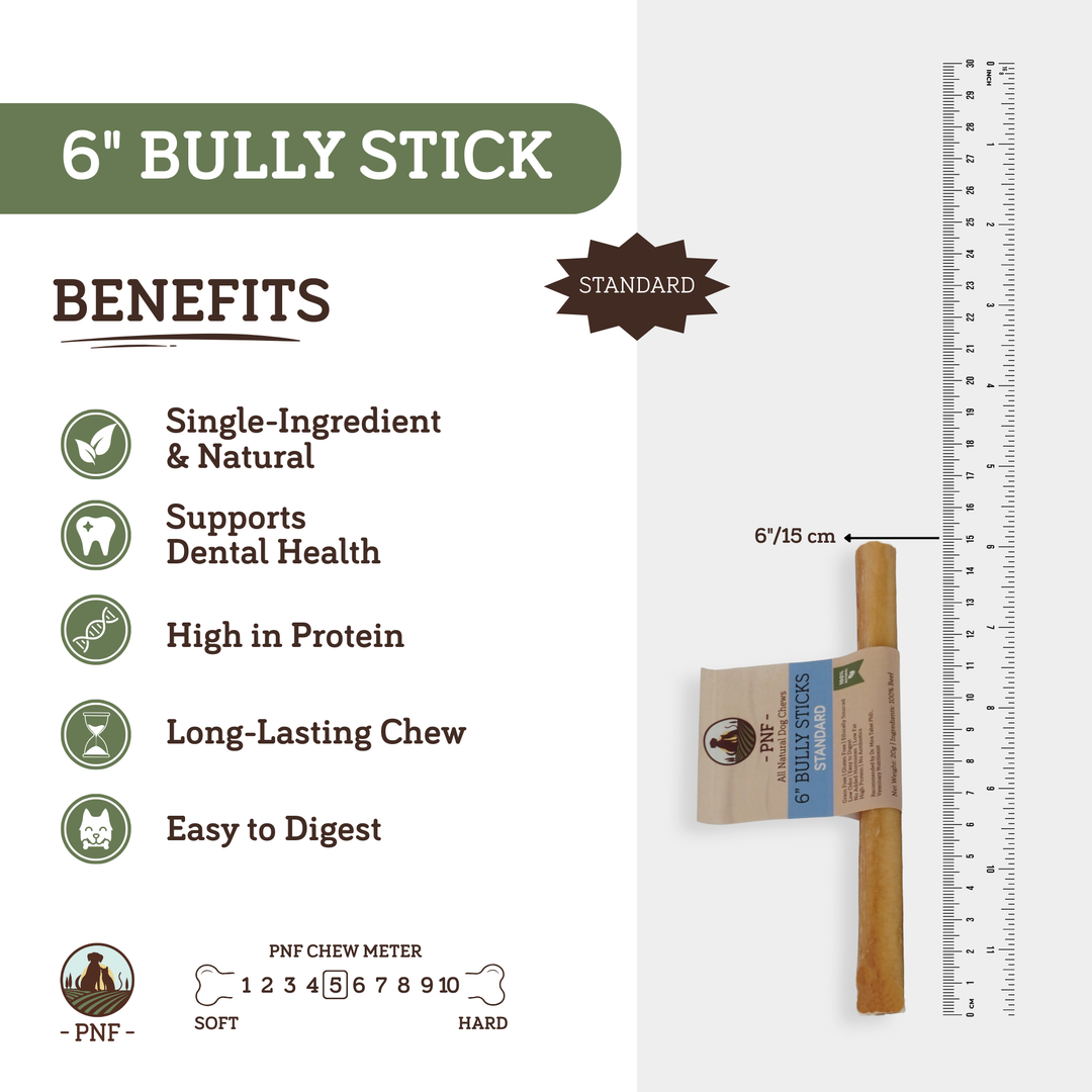 6" Bully Stick Standard