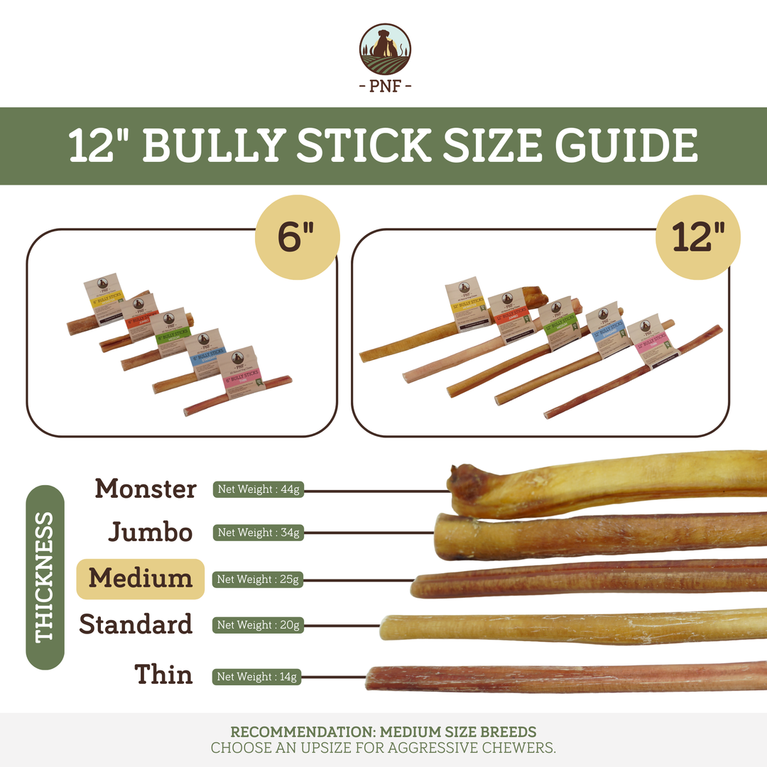 12" Bully Stick Medium