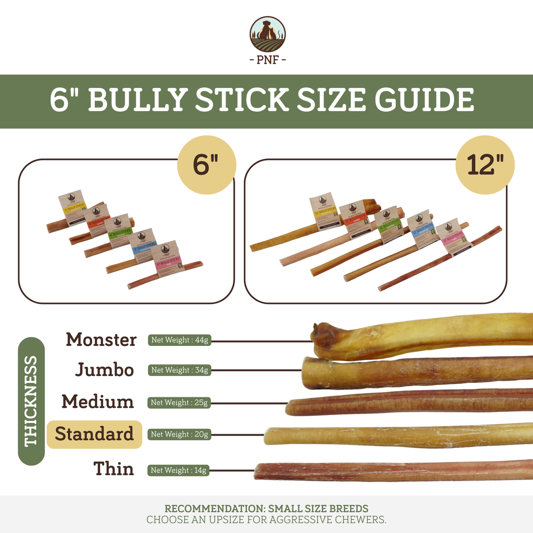 6" Bully Stick Standard