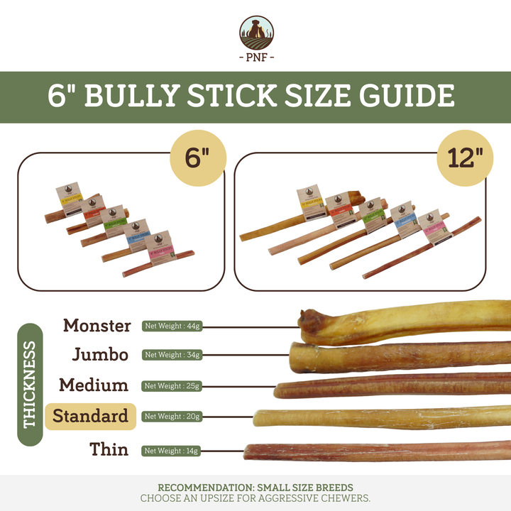 6" Bully Stick Standard