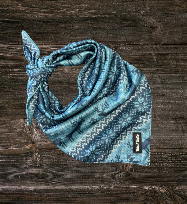 Cooling Dog Bandana