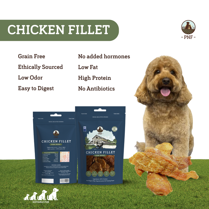 Chicken Fillet 100g