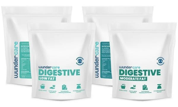 Digestive Health